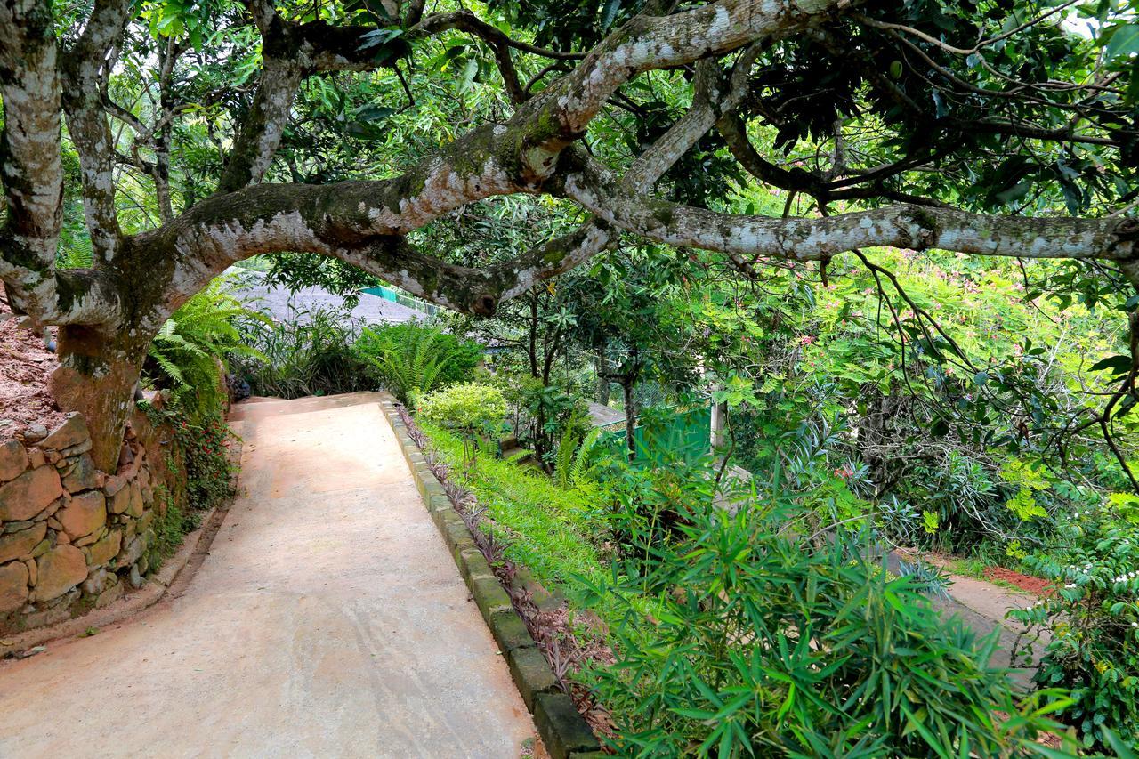 Villa Serene Kandy Exterior foto